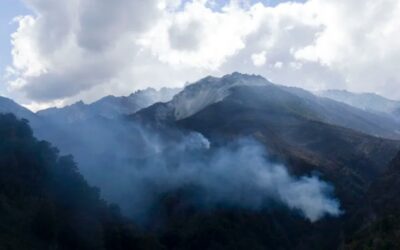 El cambio climático necesita acciones concretas, no voluntarismo verbal