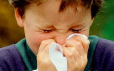 Qué es el rinovirus, el virus que circula junto al COVID-19 y afecta a los niños