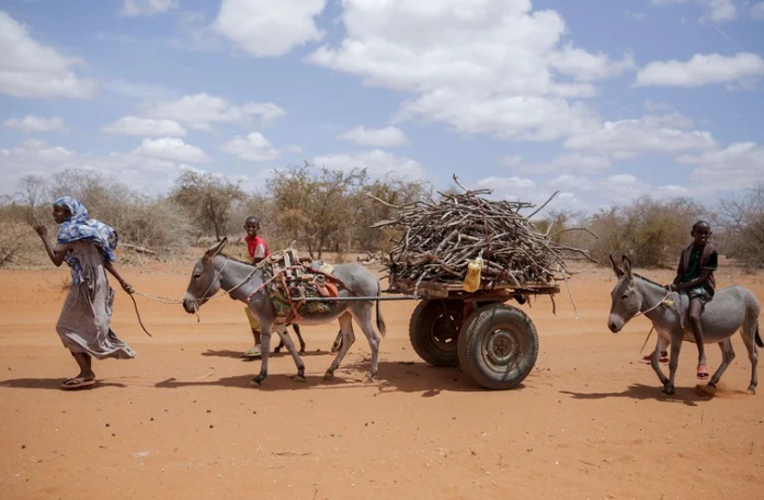 Estados Unidos aseguró la compra de un cargamento de granos de Ucrania para regiones hambrientas de África
