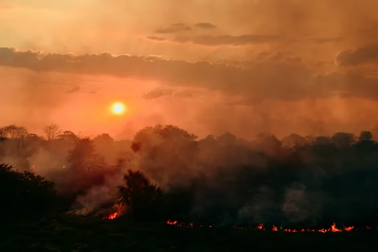 Cómo controlarán incendios forestales en Argentina con tecnología