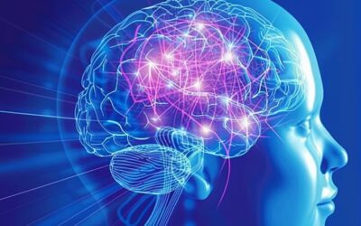 ¿Lo que vemos es lo que pensamos? El cerebro cambia las percepciones visuales, según un estudio