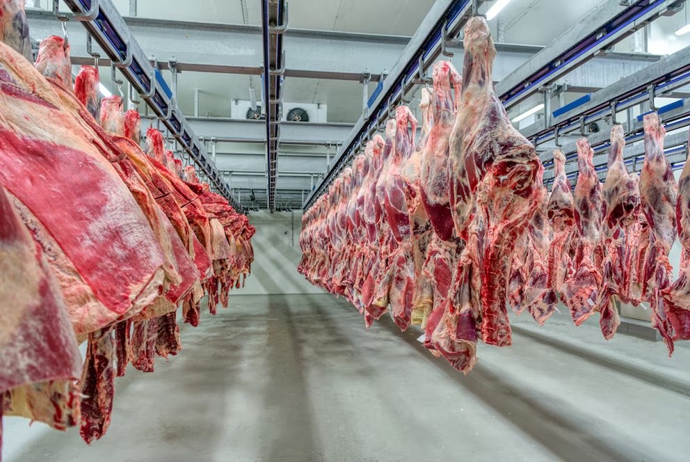 El Gobierno extendió la quita temporal de retenciones también a las carnes bovinas y avícolas