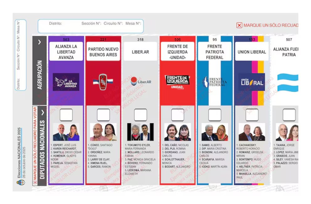 La Justicia rechazó el pedido del Gobierno para reimprimir las boletas en PBA y se mantendrá la foto de Espert