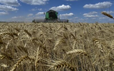 Guerra en Medio Oriente: se disparó el precio de un insumo agrario clave y se espera un fuerte impacto en el campo argentino