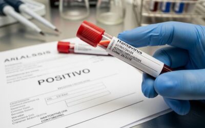 Hantavirus en Argentina: la letalidad alcanzó un récord histórico en la temporada 2025-2026
