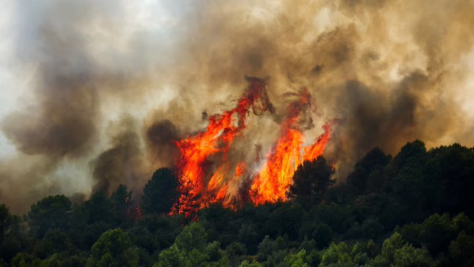 Alertan que el humo de incendios en Europa y Norteamérica reactiva la alarma por daños a largo plazo